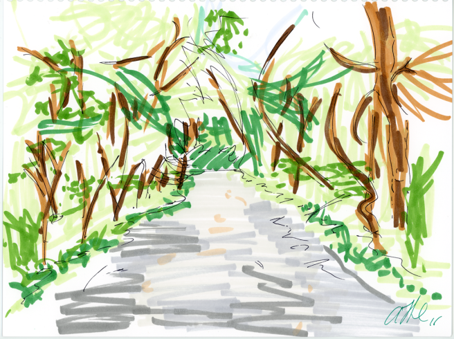 Forest Path Sketch 2 - Pen & Marker
